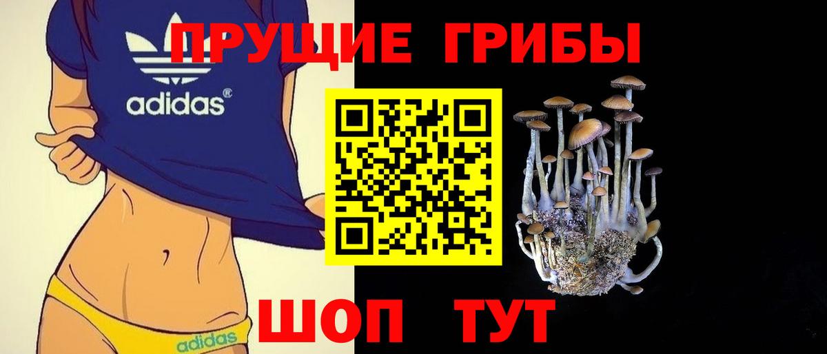 Галлюциногенные грибы Psilocybe  Вход с VPN  Боровичи 
